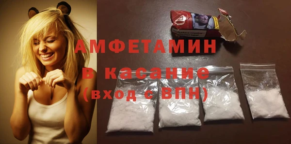 трава Наволоки