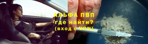 трава Наволоки