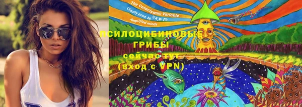 ECSTASY Надым