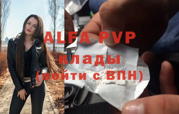 трава Наволоки